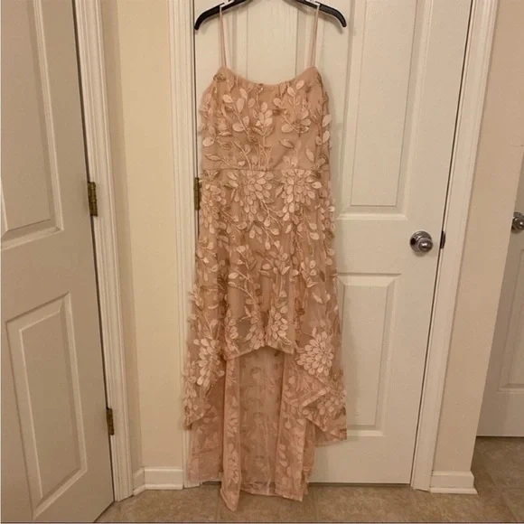 XSCAPE Floral-Appliqués High-Low Gown in Blush - Picture 5 of 11